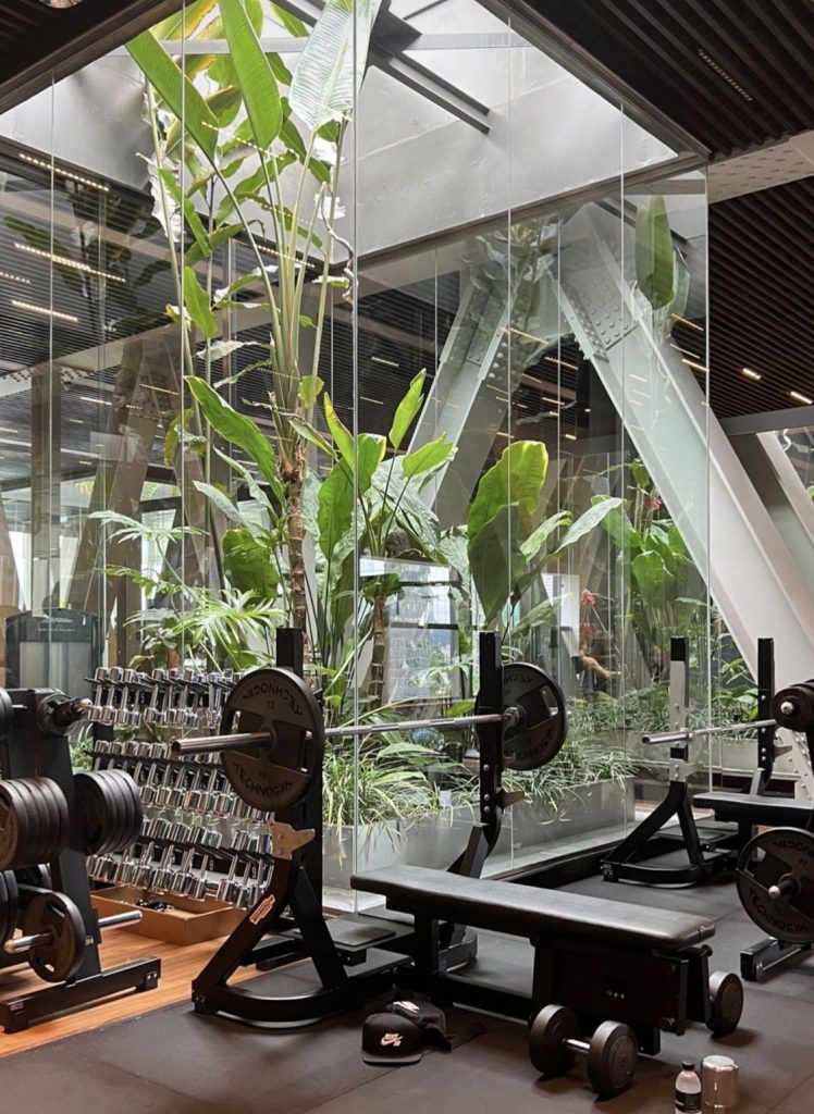 Modern Basement Gym Remodeling Ideas With Open Ceilings