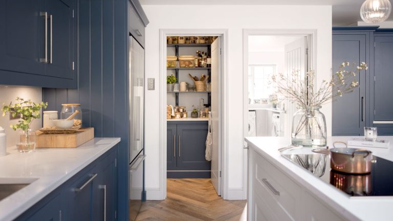 Small Pantry Ideas